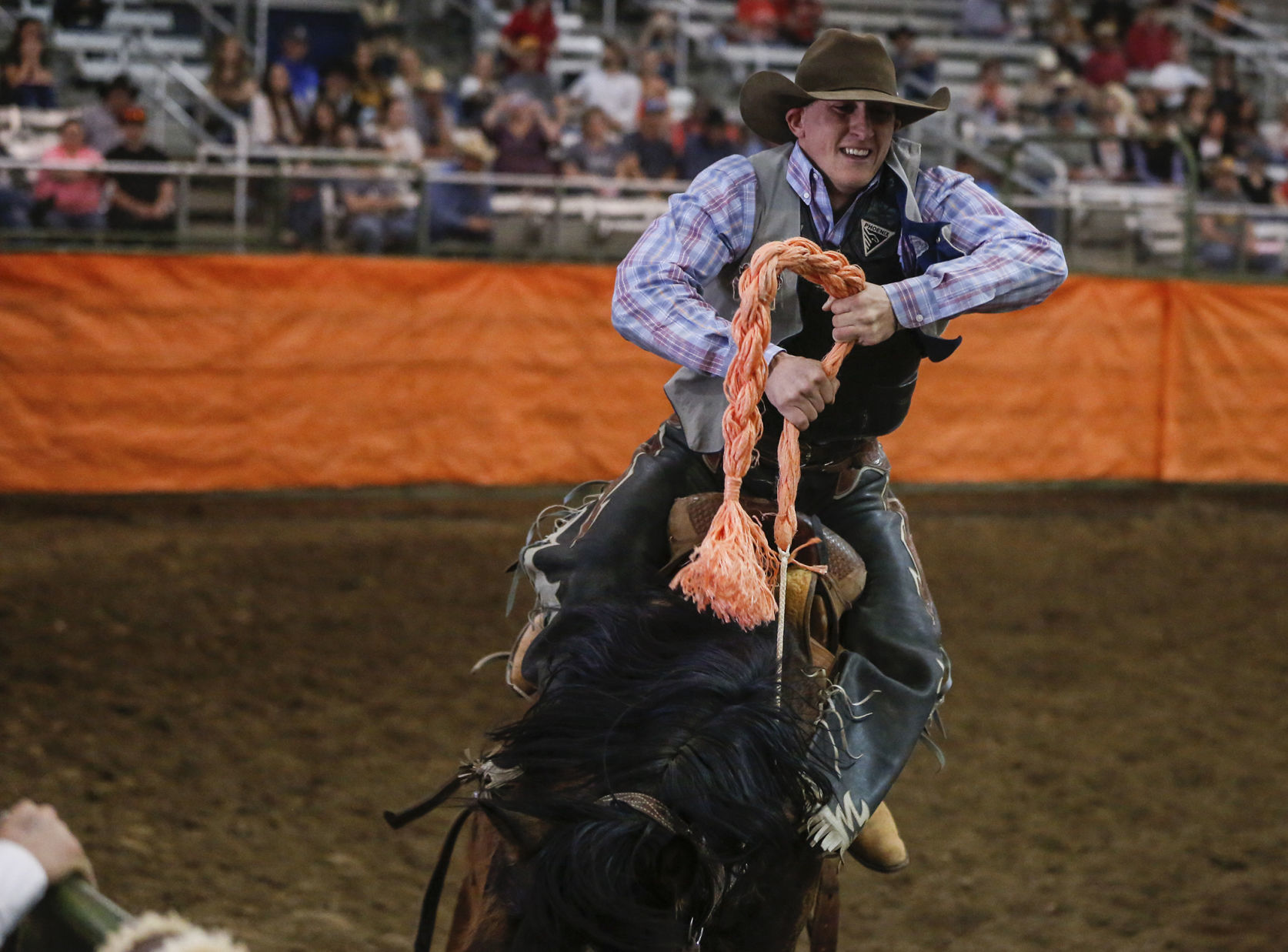 Ropin' and Riggin' Days